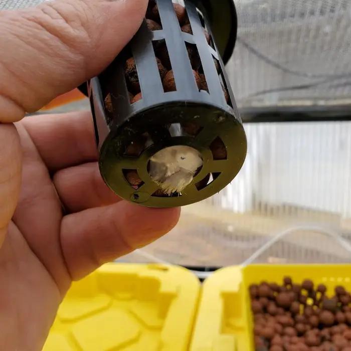 Mir pour plantes hydroponiques aquaponiques et orchidées, filet standardisé, filet à mailles fendues