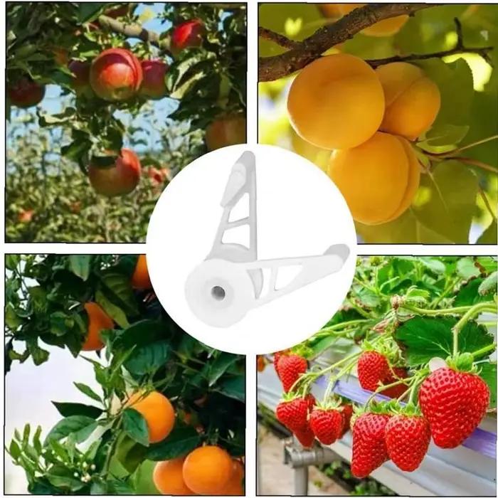 Cintreuse de plantes à 360 degrés, Supports réglables, Clip fixe pour arbres fruitiers et fleurs, fo