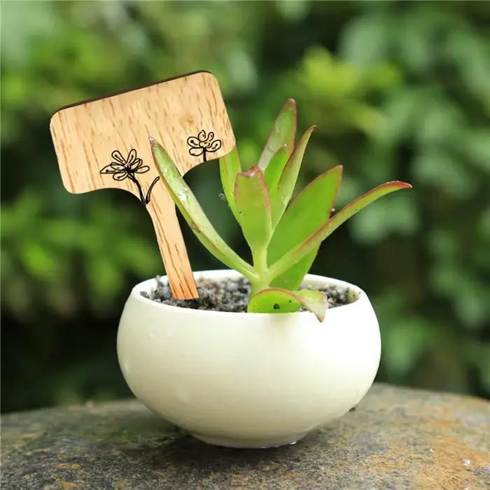 Étiquettes de plantes en bois de Type T, étiquettes de jardin en bambou écologiques pour graines, he