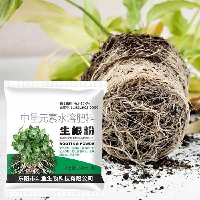 Poudre d'enracinement 1 sac – Stimulateur de croissance des racines pour plantes, engrais pour boutu