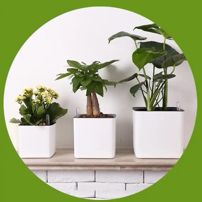 Jardinière blanche à arrosage automatique, indicateur d'eau, Pot de jardinière décoratif moderne pou