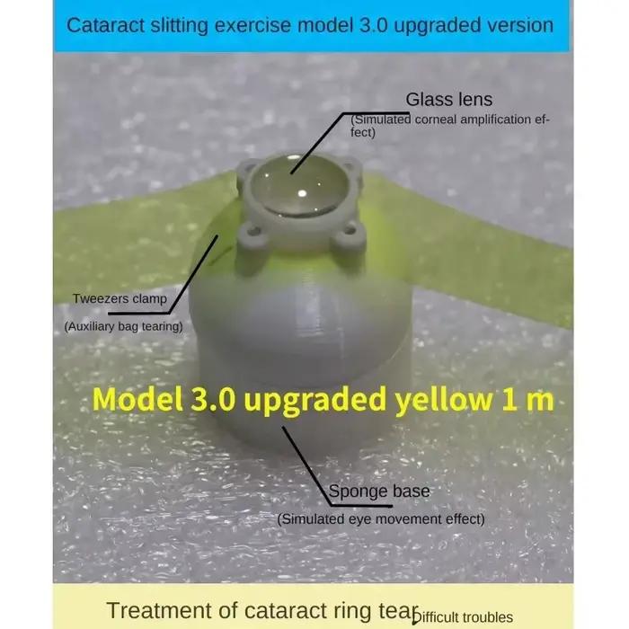 Capsulorhexis d'émulsification ultrasonique de cataracte ophtalmique 3.0, modèle de pratique de chir