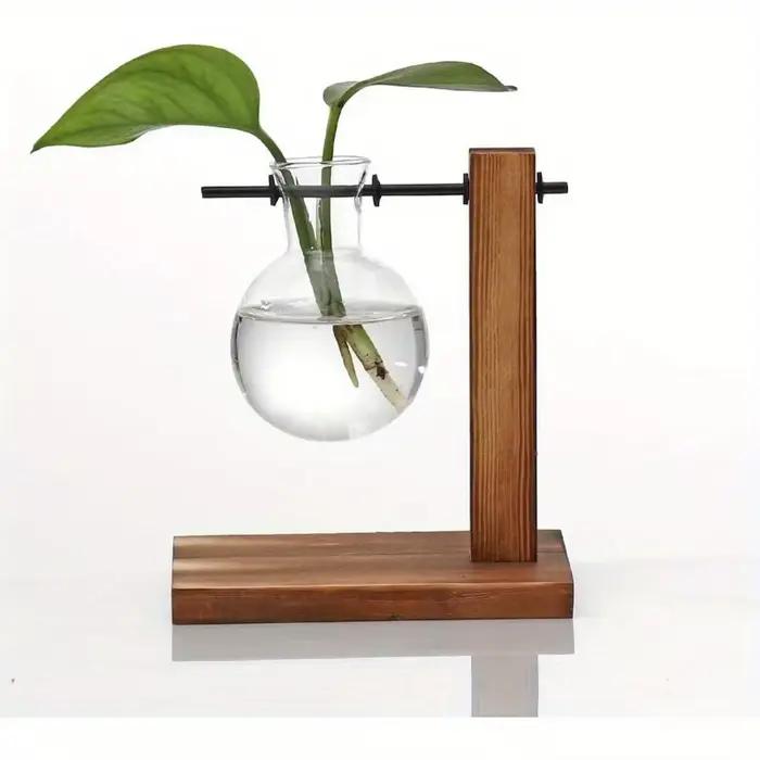 Pots de fleurs en verre, vases bulbaux, plantes de bureau, boîtes d'élevage, plantes d'eau hydroponi
