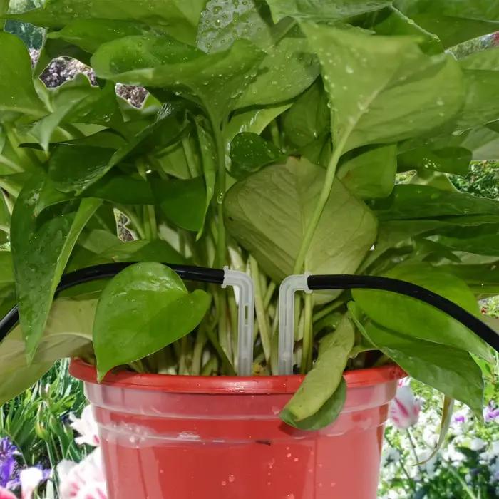 KESLA-Micro goutteur de tuyau d'arrosage à économie d'eau, 25x flèche de courbure transparente 1/4 e