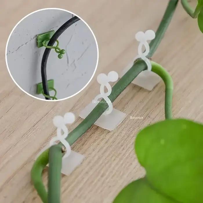 Clips muraux pour plantes grimpantes, 20 pièces, crochet à boucle de vigne, fixateur de pince en rot