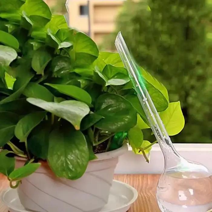 Distributeur d'eau automatique pour plantes, boule en plastique PVC, arrosoir intérieur et extérieur