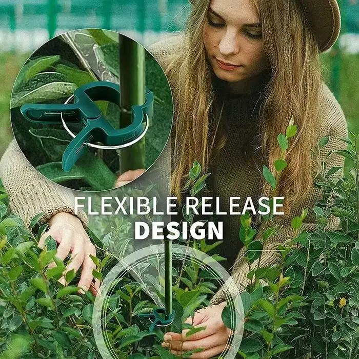 Clips fixes pour plantes, Support de serre de jardin réutilisable pour plantes fixes, vigne, fleur, 