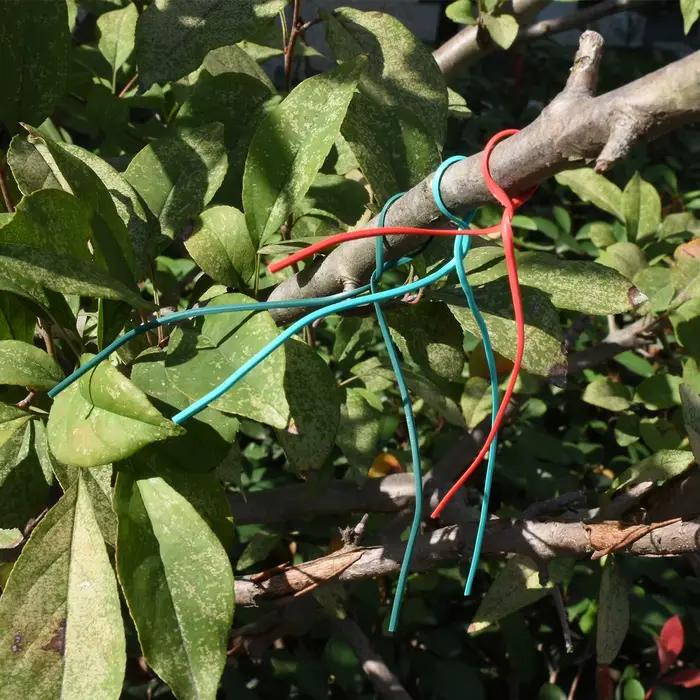 100 pièces vert jardinage vigne plantes grimpantes lignes d'attache de câble supports de plantes piè