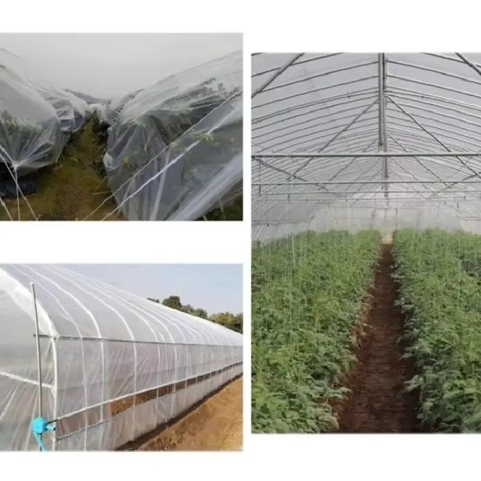 Optique-Film plastique transparent pour plantes succulentes de jardin, gril étanche à la pluie, gard