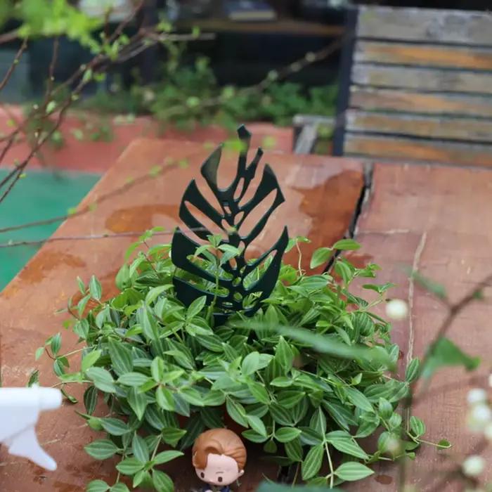 Treillis pour plantes en pot treillis de jardin pour plantes grimpantes Mini plante grimpante en pla