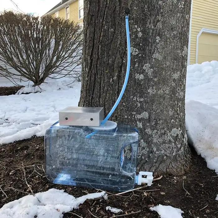 Kit de taraudage d'arbre à sirop d'érable, ensemble de robinets compte-gouttes de Sap en érable, Tub