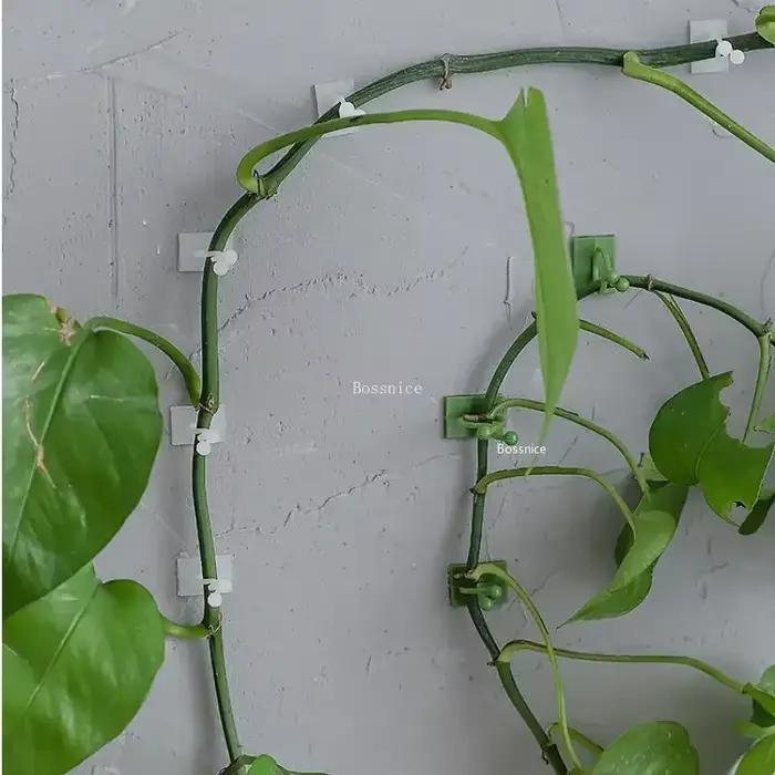 Clips muraux pour plantes grimpantes, 20 pièces, crochet à boucle de vigne, fixateur de pince en rot