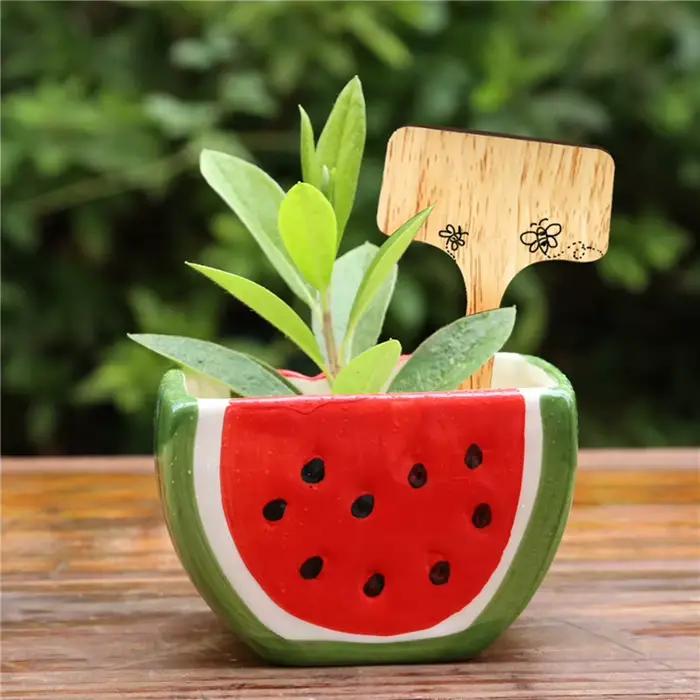 Étiquettes de plantes en bois de Type T, étiquettes de jardin en bambou écologiques pour graines, he