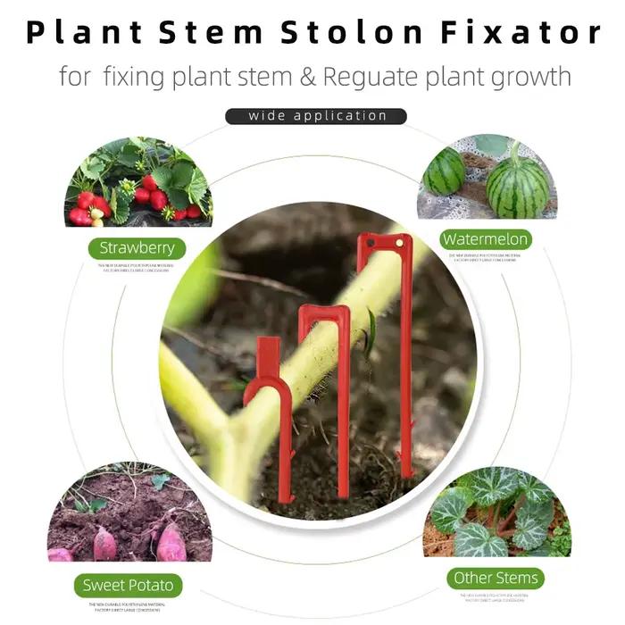 20-50 pièces fraise plantation fourche creuser fourche 50mm 93mm 108mm Stolon fixateur vigne pressag
