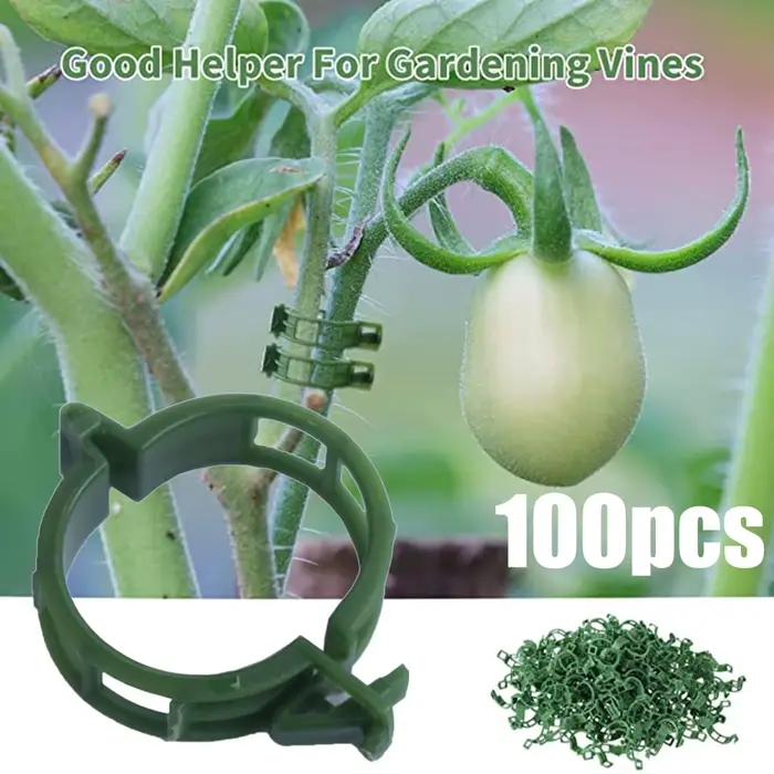 Clips de Support pour plantes, 100 pièces, attaches en plastique, Clips de piquet en treillis, Suppo