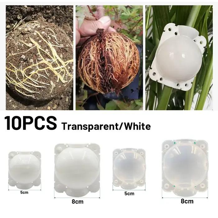 Boule d'enracinement de plantes, 10 pièces, boîte d'élevage de greffe à haute pression, boîte de pép
