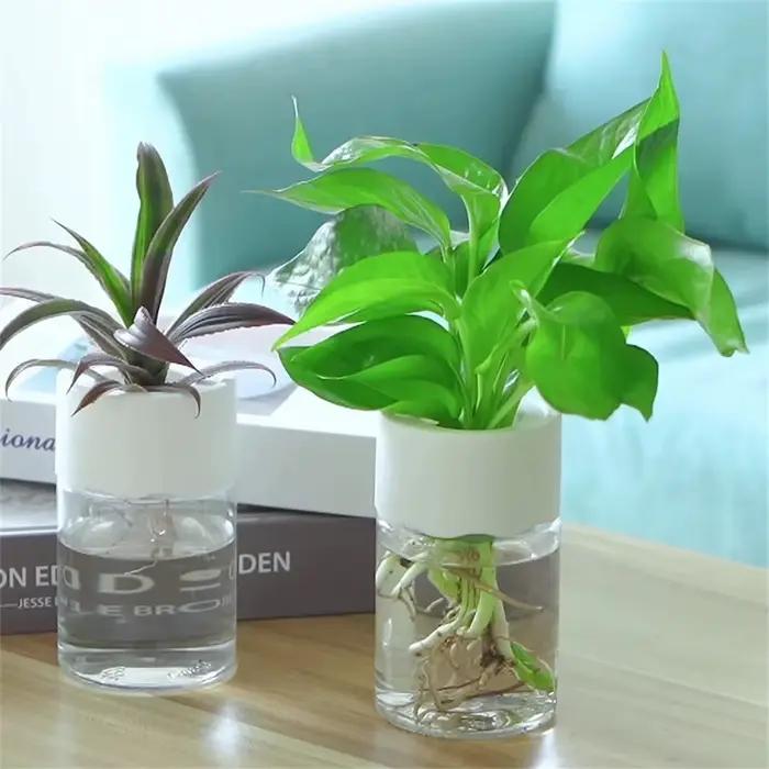 Mini Pot de fleur hydroponique, Vase décoratif de maison, Imitation verre Transparent, Pots de plant
