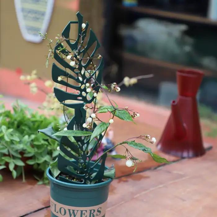 Treillis pour plantes en pot treillis de jardin pour plantes grimpantes Mini plante grimpante en pla