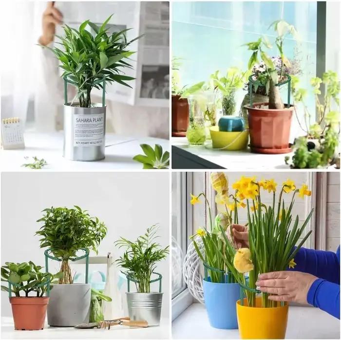 Support en plastique pour plantes, support pour fleurs et serres, outils de jardin