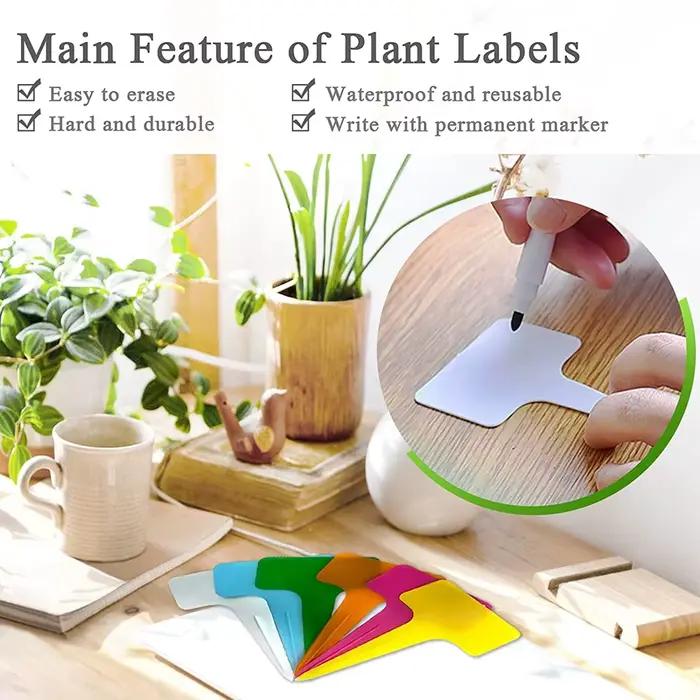 Étiquettes de plantes imperméables en plastique en forme de T, 30 pièces, 10CM, étiquettes de jardin