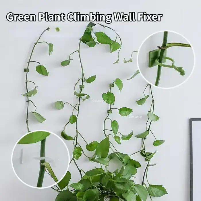 Clips muraux pour plantes grimpantes, 20 pièces, crochet à boucle de vigne, fixateur de pince en rot