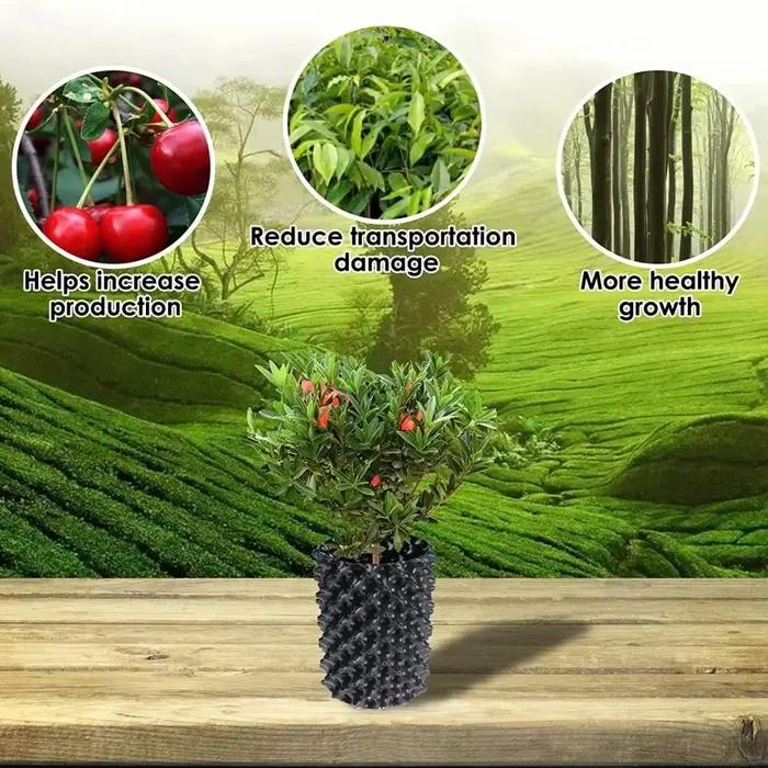 2 paquets de plantes d'élagage à Air, contrôle des racines, Pots de pépinière, conteneur de culture 
