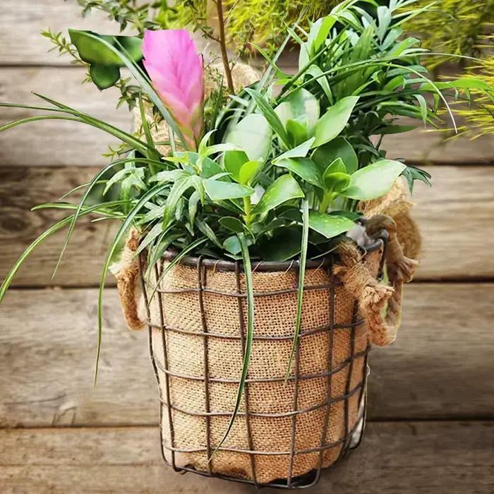Tissu en toile de jute naturelle pour barrière contre les mauvaises herbes, lit suréWer, couverture 