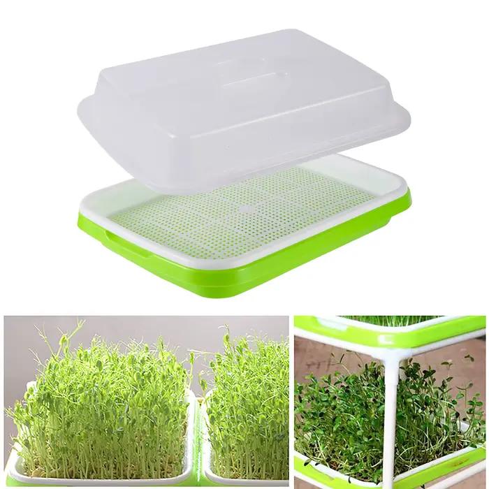 Plateau de germination plateau de germination des graines plateau de semis plantation de graines d'h