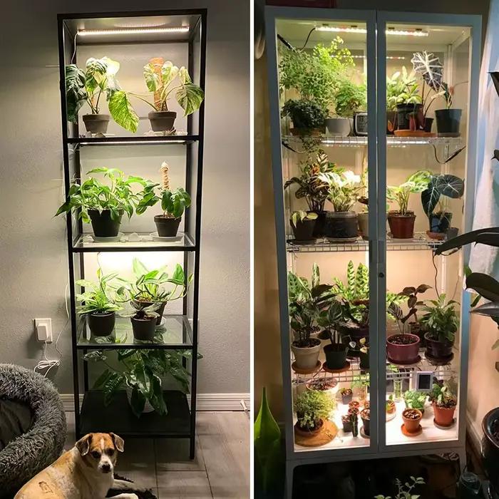 Bande Lumineuse de Croissance LED USB pour Plantes d'Nik, 1/2/3/4 Têtes, Lampe Phyto Complète à Inte