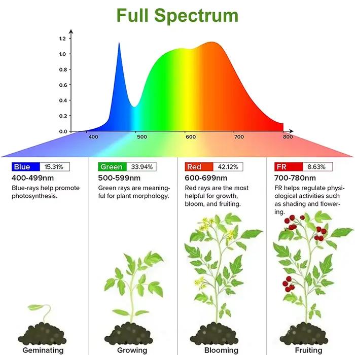 Bande Lumineuse de Croissance LED USB pour Plantes d'Nik, 1/2/3/4 Têtes, Lampe Phyto Complète à Inte