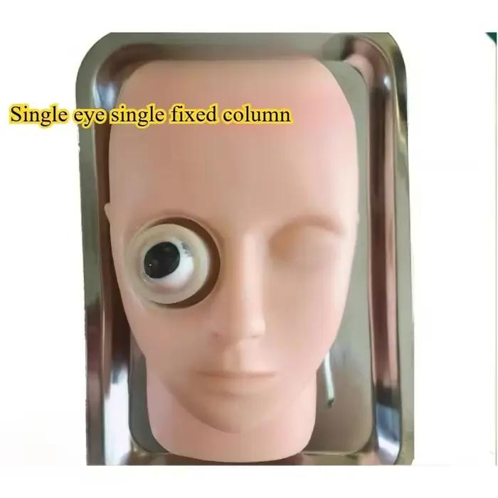 Modèle de simulation de tête pour la formation à la réparation capsulaire de la cataracte, simulateu