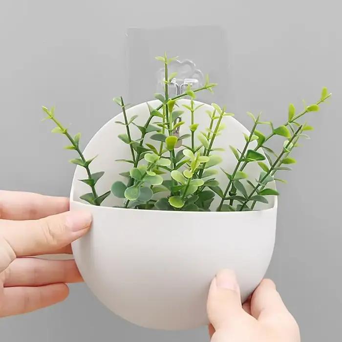 Vase mural hydroponique en plastique pour paresseux, pot de fleur de carotte verte, 1 pièce