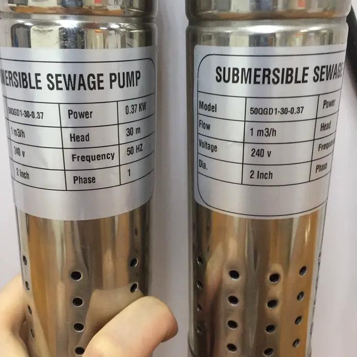 Pompa Submersible 110V 2 pouces de diamètre pour irrigation haute pression pour jardin et utilisation domestique avec certification CE et profondeur de forage jusqu'à 30m
