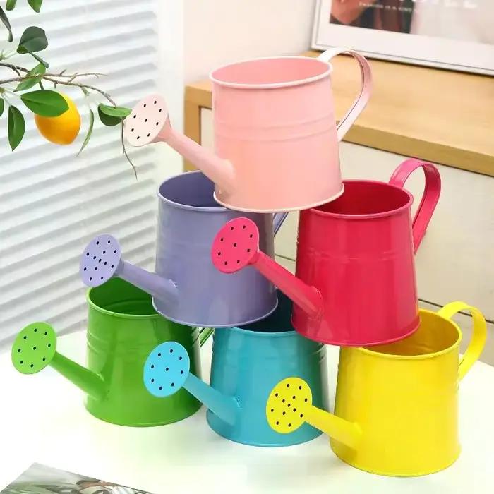 Arrosoir en métal pour jardin, mini-pulvérisateur d'eau de grande capacité pour enfants et adultes