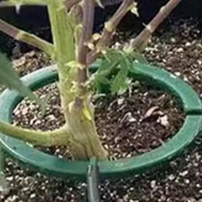 Système de goutte à goutte Hydro Halo Ring