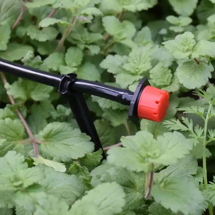 Système d'irrigation goutte-à-goutte