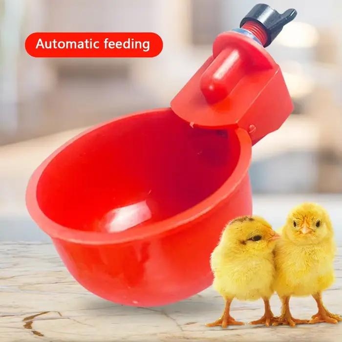 Distributeur d'eau automatique Anti-Pollution et autonettoyant pour volaille