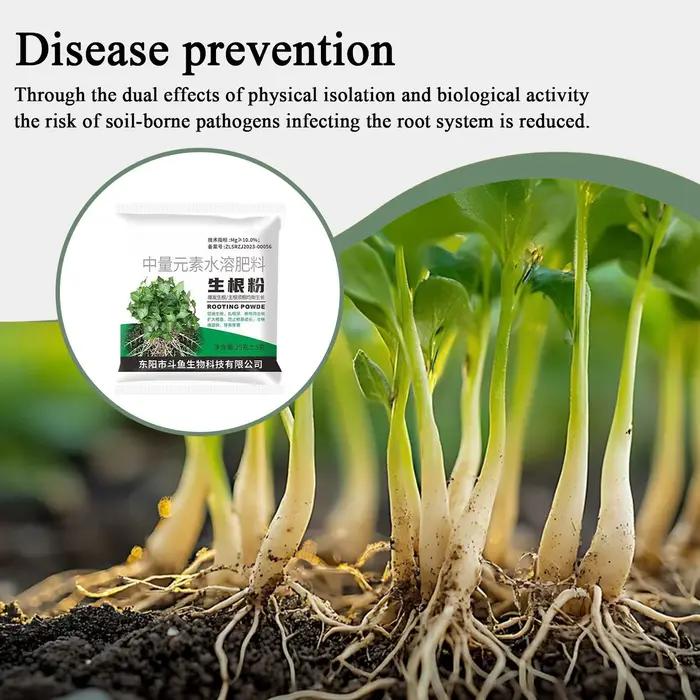 Poudre d'enracinement 1 sac – Stimulateur de croissance des racines pour plantes