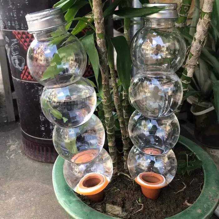 Insert de bouteille d'irrigation goutte à goutte pour pot auto-arrosant