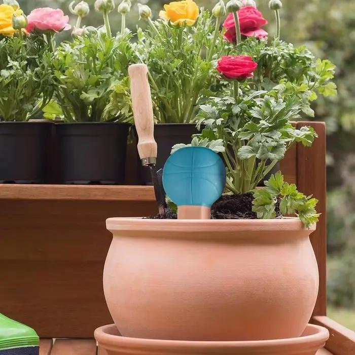 Cônes d'Arrosage existent en Forme de Basket-ball pour Plantes