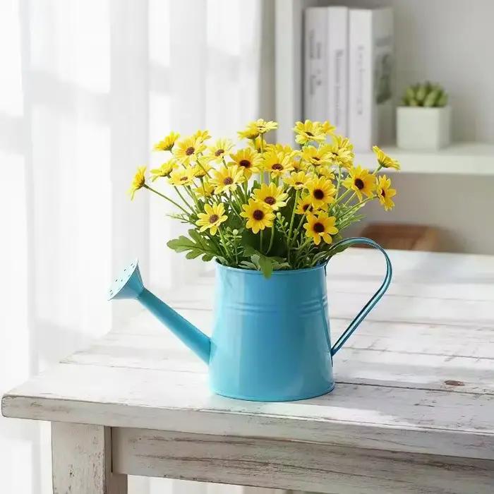 Arrosoir en métal pour jardin, mini-pulvérisateur d'eau de grande capacité pour enfants et adultes