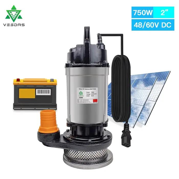 Pompe à eau solaire Submersible 750W 48V 60V DC 2 pouces