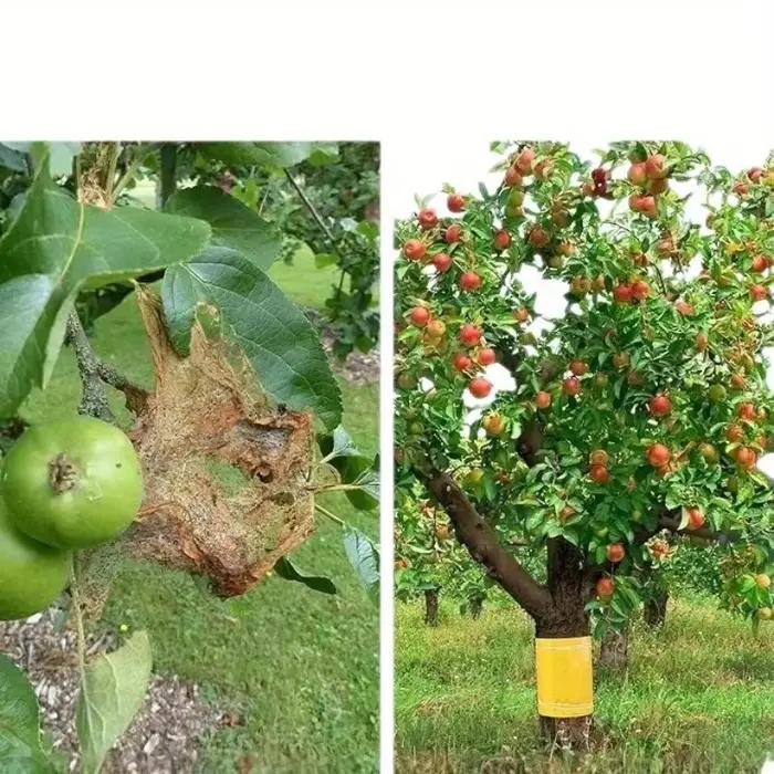 1 rouleau de ruban adhésif anti-insectes double face jaune pour empêcher les insectes