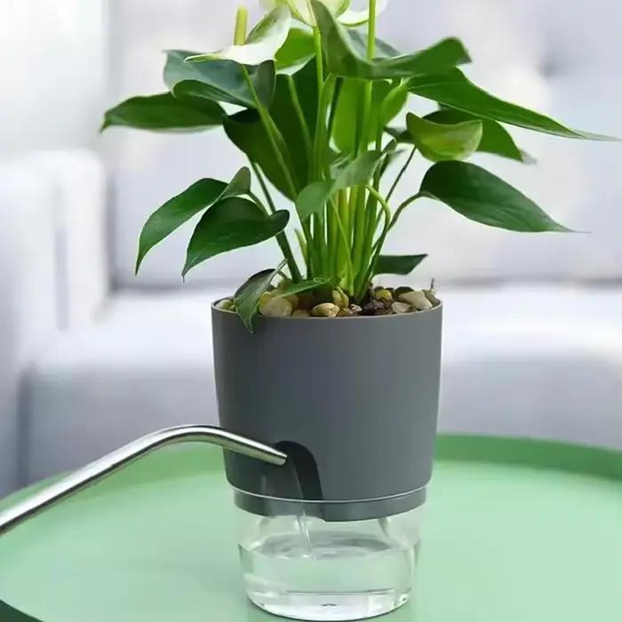 Pots auto-arrosants pour plantes