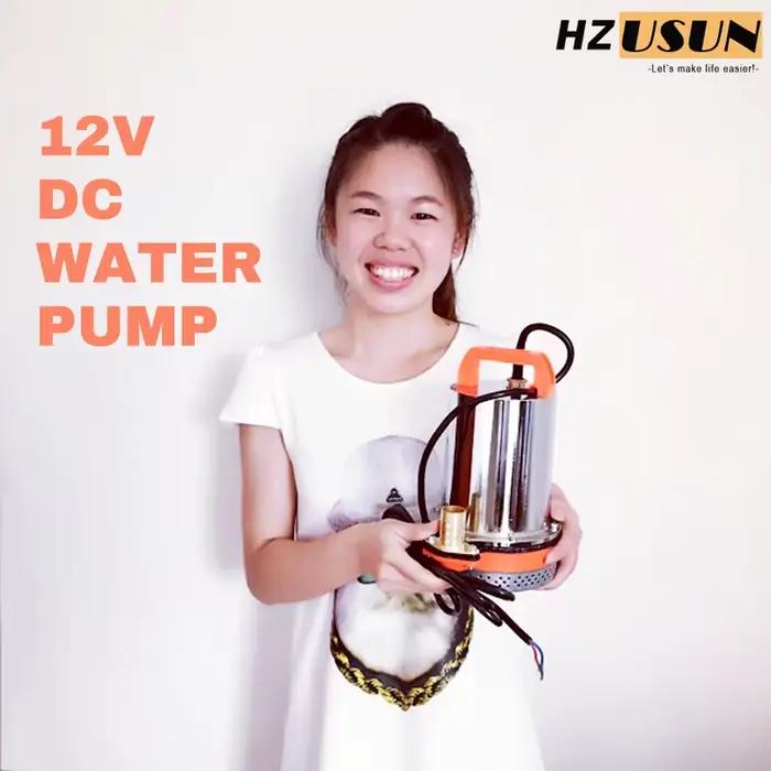 Pompe de circulation d'eau submersible portable 12V DC pour lavage de voiture