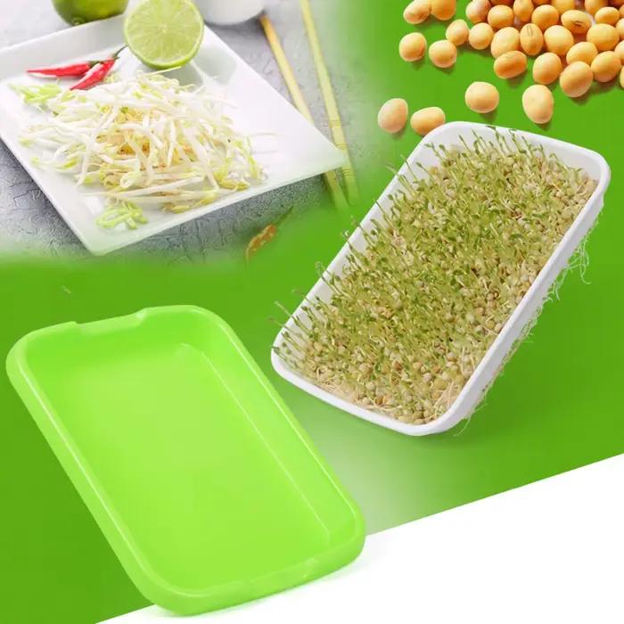Microgreens plateau de germination hydroponique/plateau