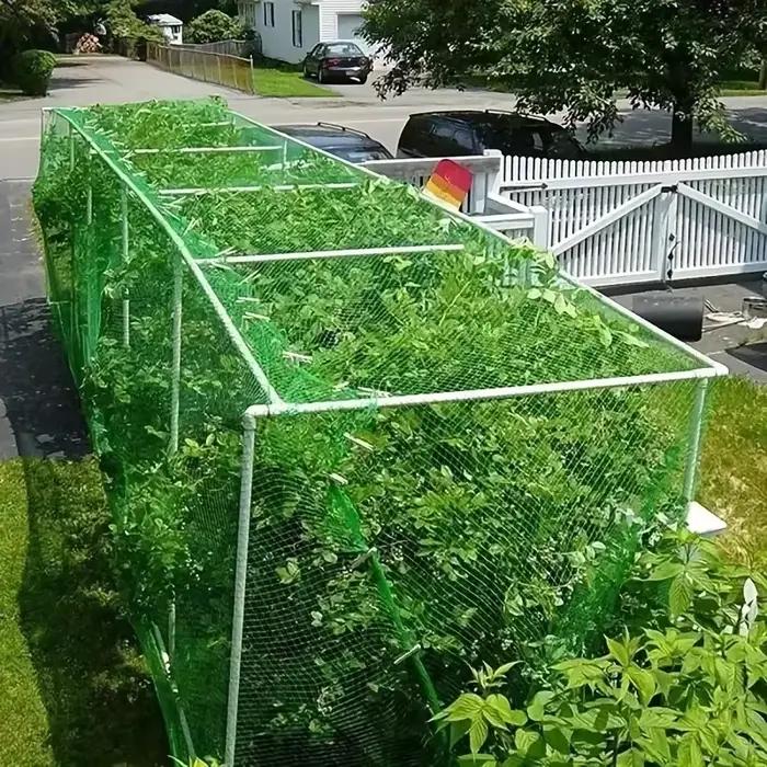 Filet de Jardin Tissé Vert