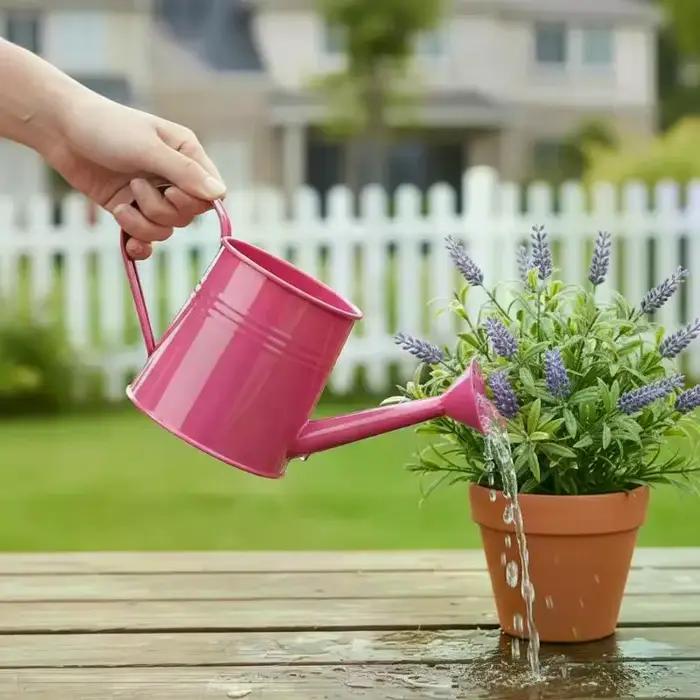 Arrosoir en métal pour jardin, mini-pulvérisateur d'eau de grande capacité pour enfants et adultes