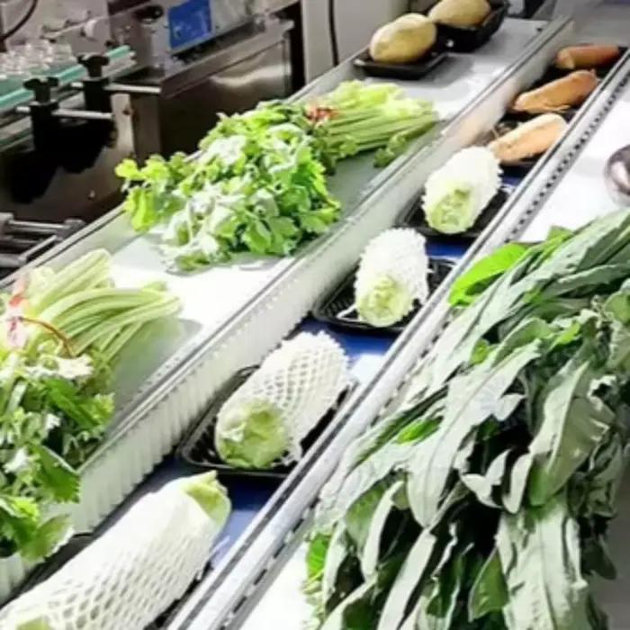 Machine d'emballage flexible pour oreillers, pour scellage rapide des snacks, des bonbons et des produits d'usage quotidien, personnalisable