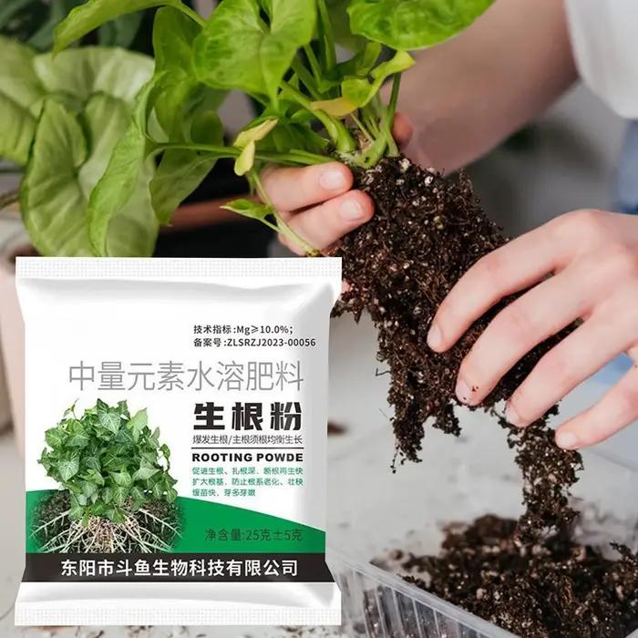 Poudre d'enracinement 1 sac – Stimulateur de croissance des racines pour plantes
